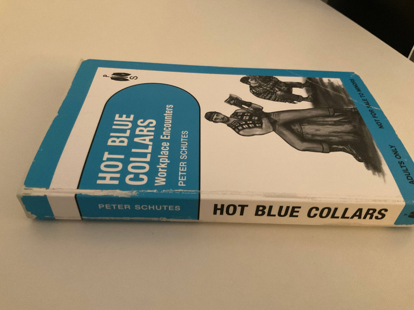 Hot Blue Collars: Workplace Encounters By Peter Schutes