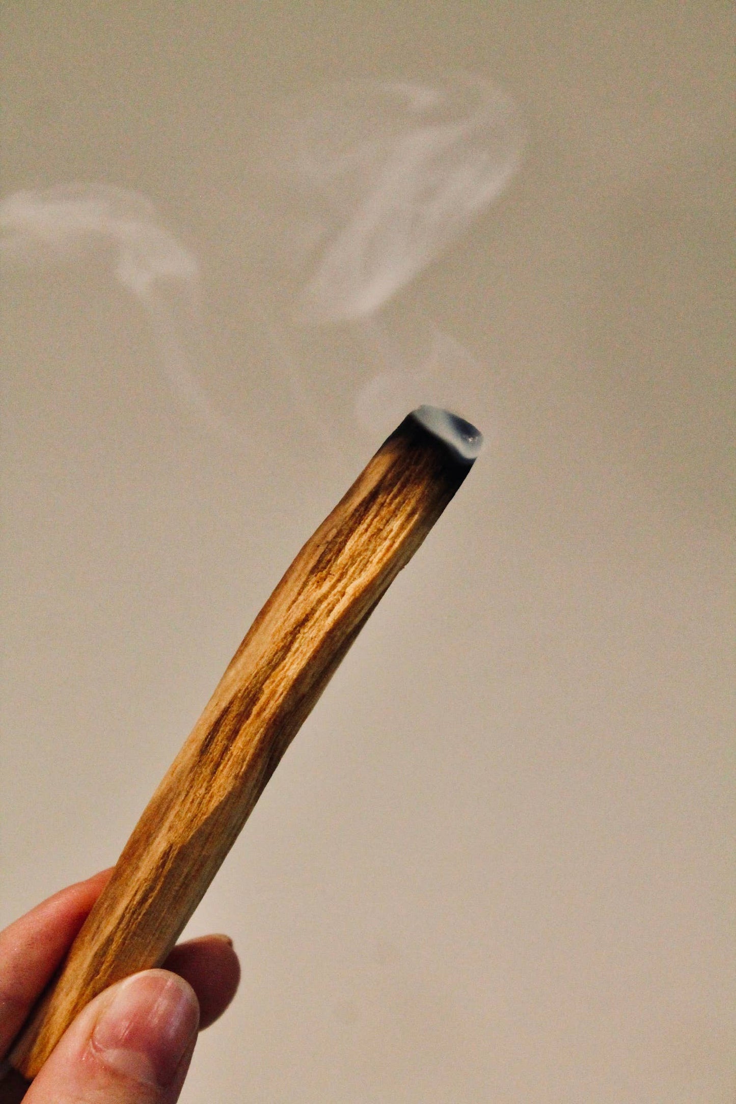 Leather-Wrapped Ecuadorian Palo Santo Smudge Stick Set of 8