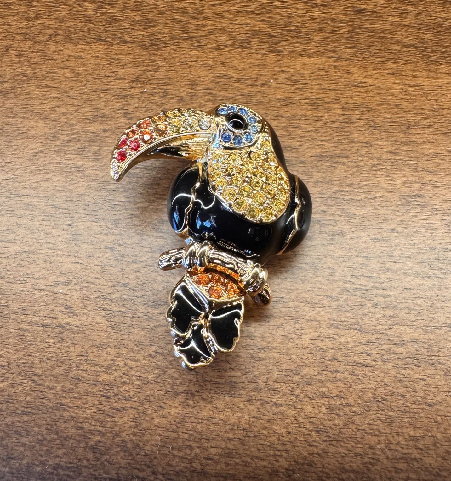 Little Black Parrot - Gail Candlin