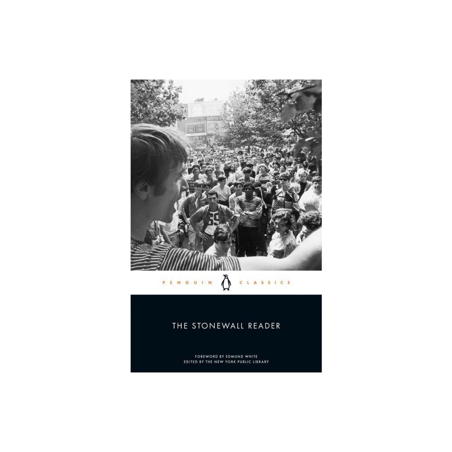 The Stonewall Reader