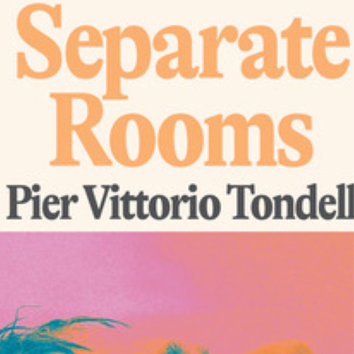 Separate Rooms - by Pier Vittorio Tondelli (Hardcover)
