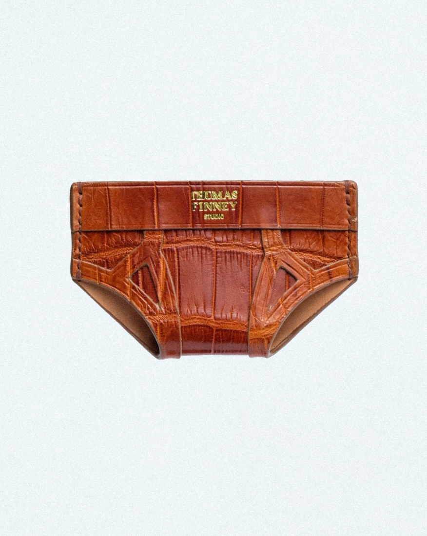Brief Card Case In Brown Crocodile