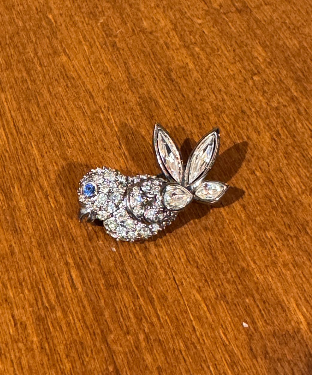 Little Bird with Blue Eye - Gail Candlin