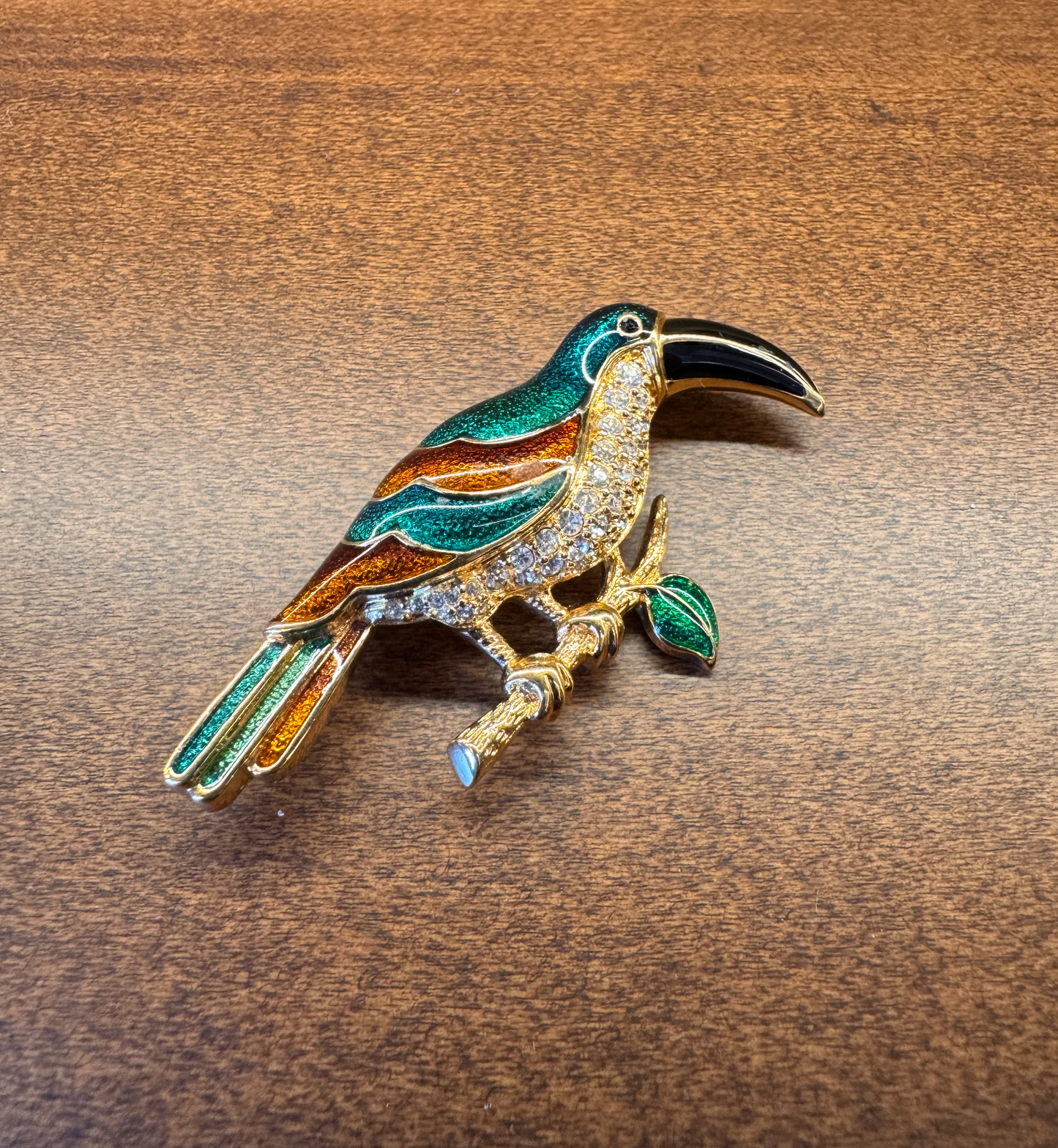 Green and Brown Parrot - Gail Candlin