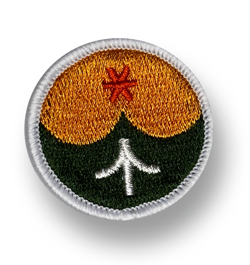 Fire Island Merit Badge