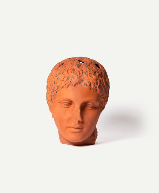 'Terracotta Tulipière' Bust by Giuseppe Parrinello