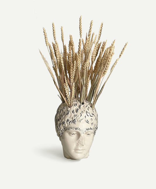 'Illustrato Tulipiere' Bust by Giuseppe Parrinello