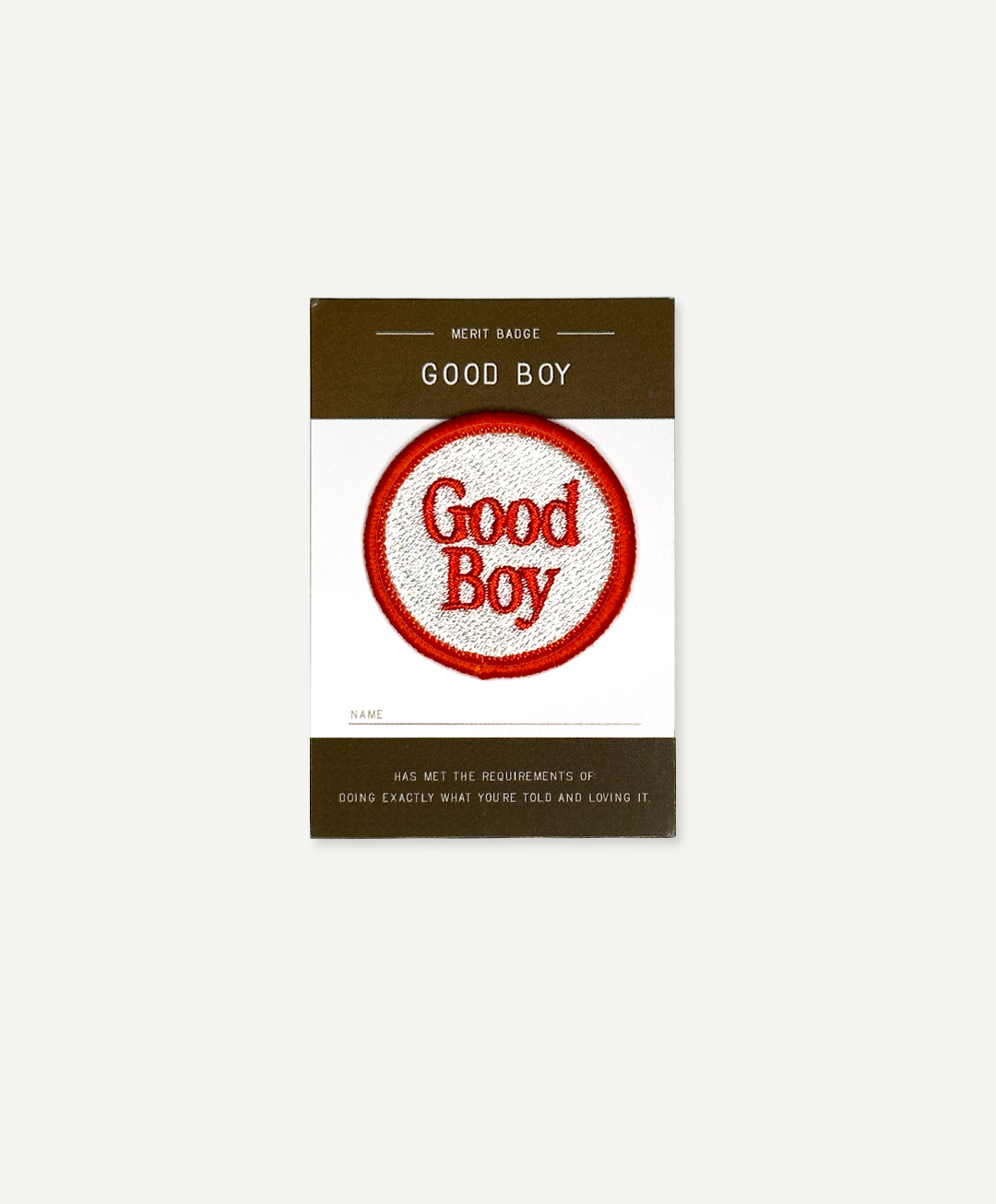 Fire Island Merit Badge