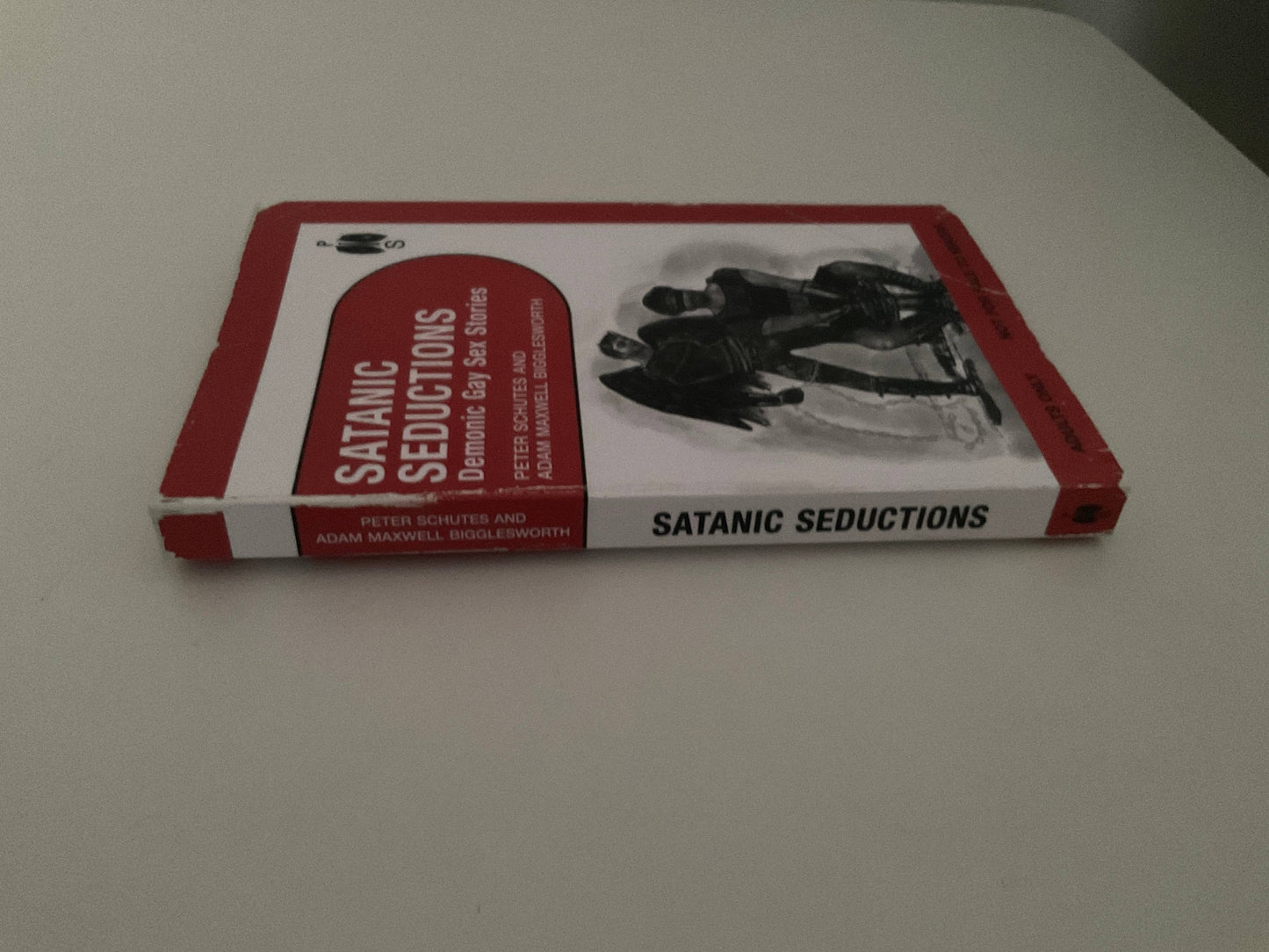 Satanic Seductions By Peter Schutes