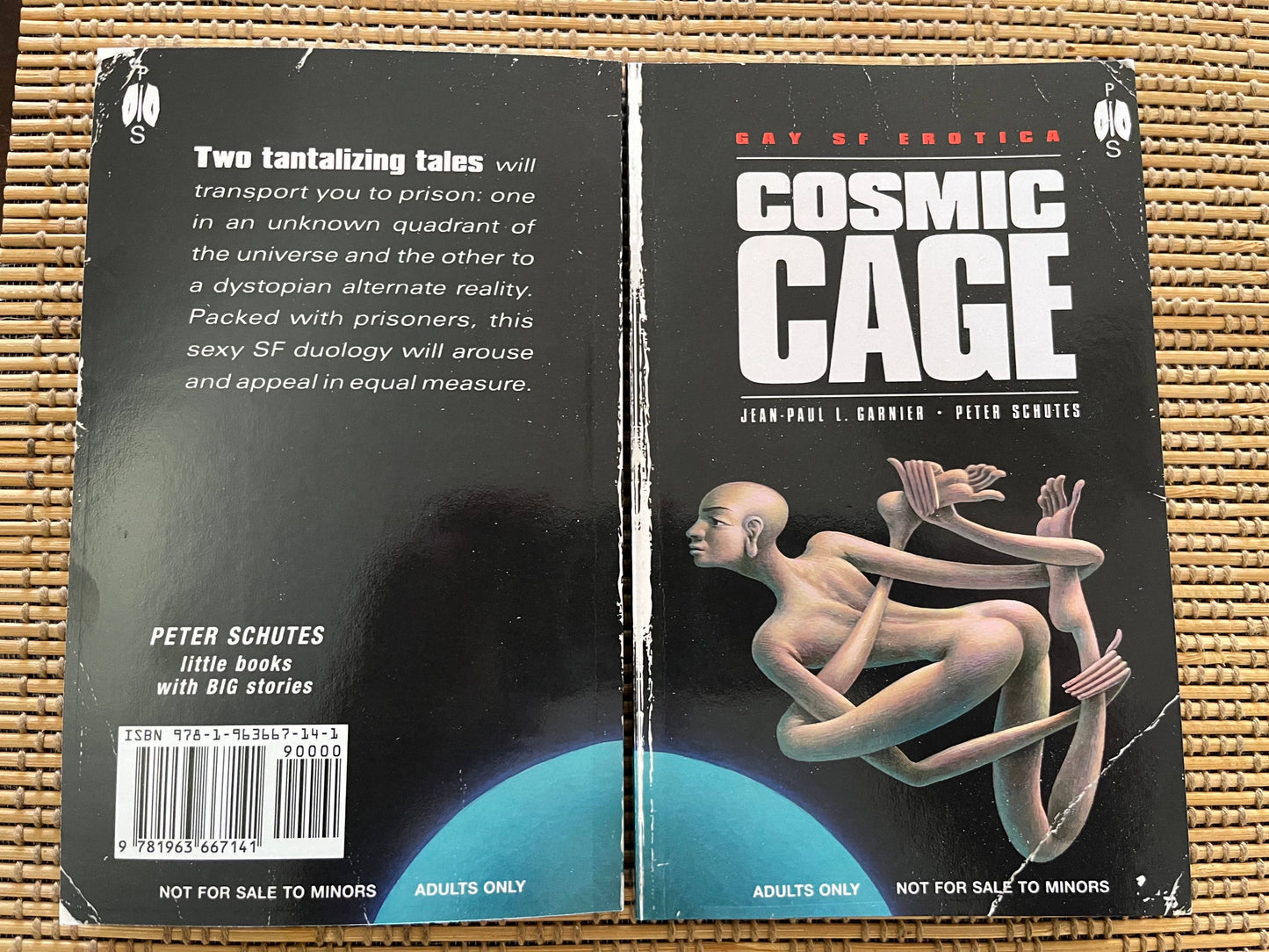 Cosmic Cage: Gay SF Erotica
