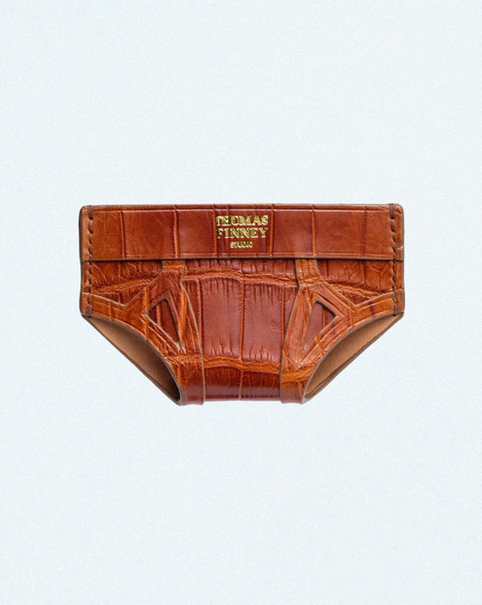 Brief Card Case In Brown Crocodile