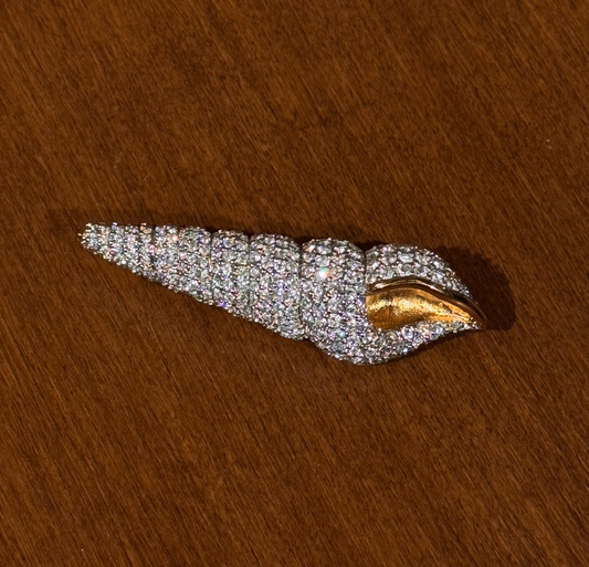 Shell - Gail Candlin