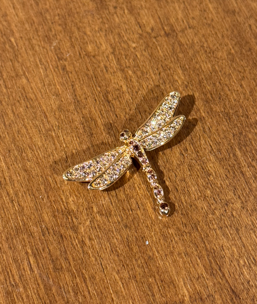 Dragonfly in Gold - Gail Candlin